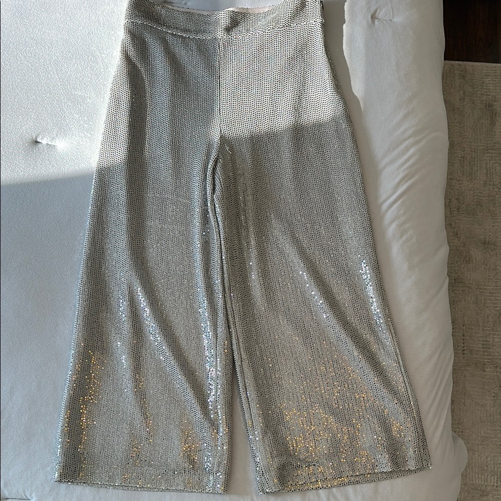 Zara Silver Sequin Flare Pants